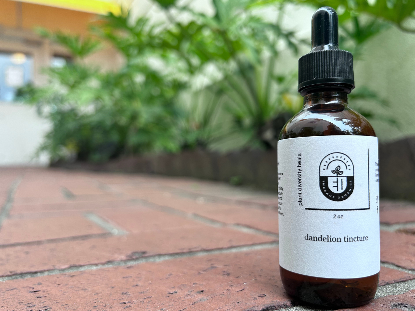 Wild-Sourced Dandelion Tincture